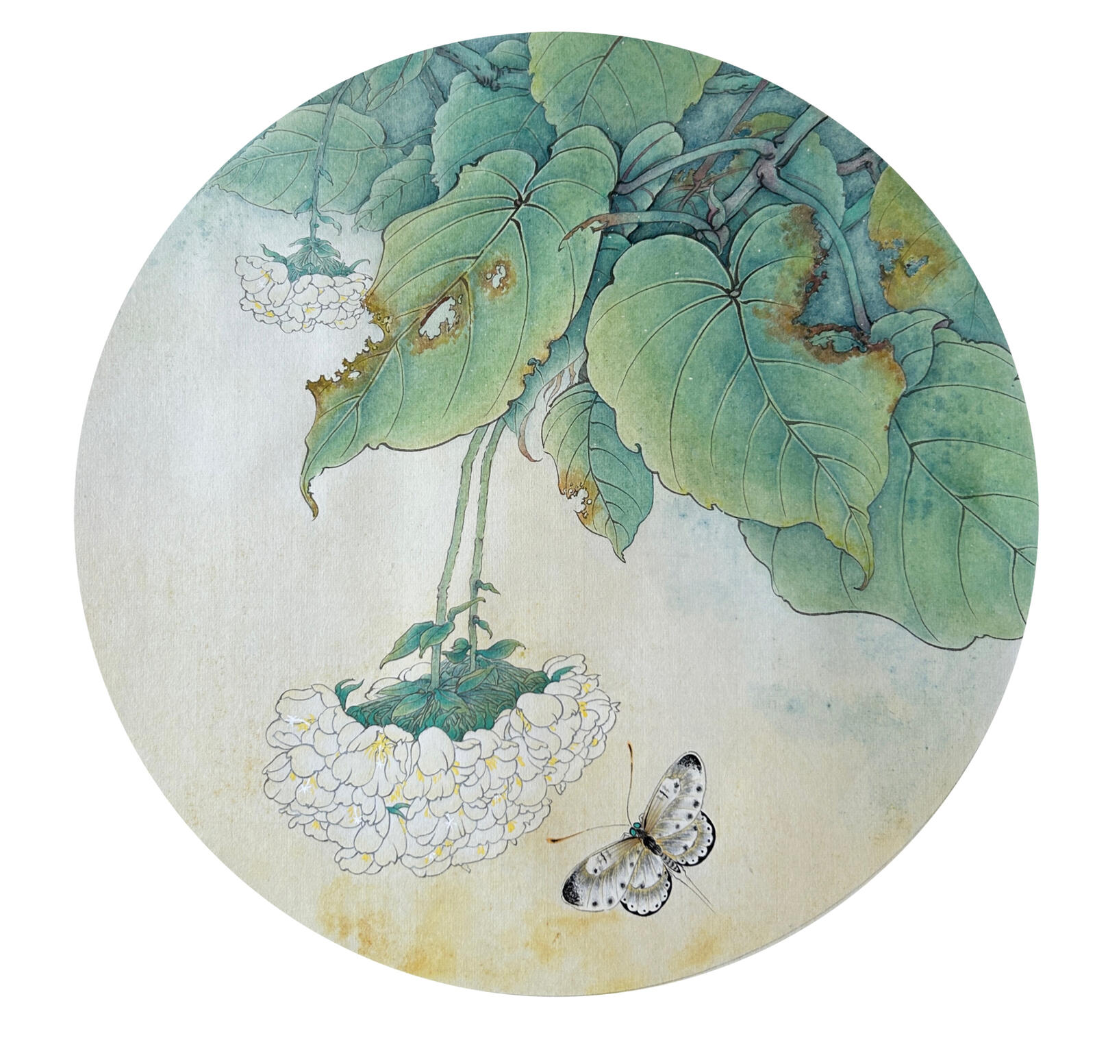 Echoes of Time in Petals / 花影时光 2025